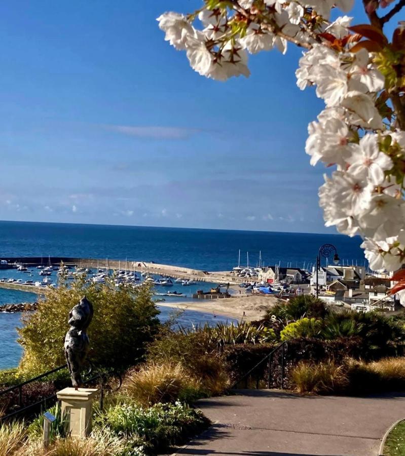 Fantastic Spacious House With Beautiful Panoramic Views Of The Bay Only A Few Minutes Walk From Beach Harbour And Restaurants This House Has 3 Bedrooms 3 Bathrooms And 2 Lovely Sitting Rooms ليم ريجيس المظهر الخارجي الصورة